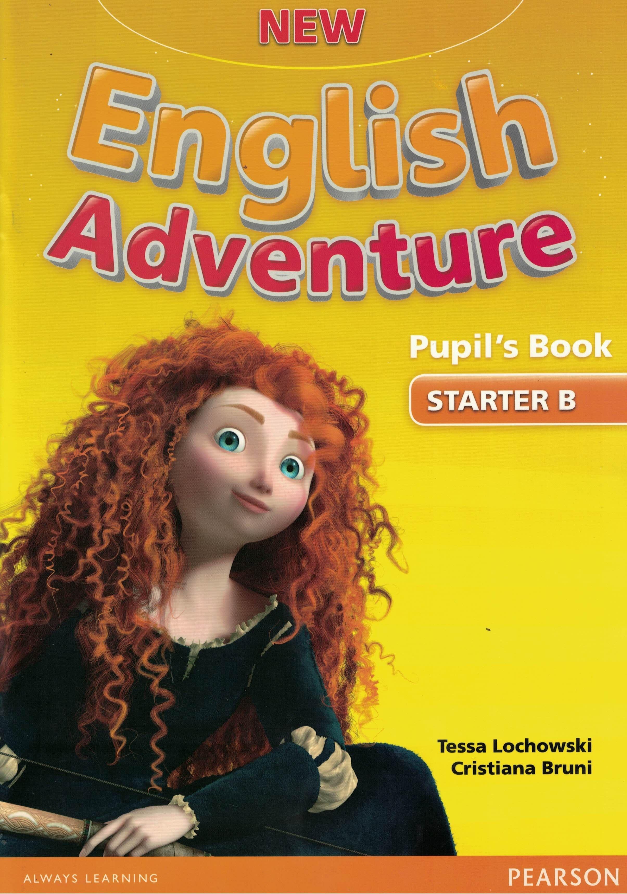 NEW ENGLISH ADVENTURE STARTER B PUPILS BOOK